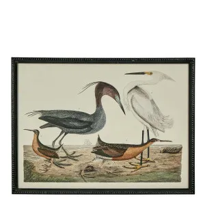 Graceful Cranes Wall Art E by Florabelle Living, a Prints for sale on Style Sourcebook