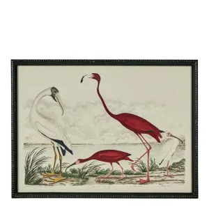 Graceful Cranes Wall Art F by Florabelle Living, a Prints for sale on Style Sourcebook