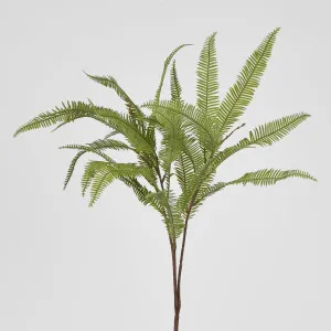 Fern Leaf Spray by Florabelle Living, a Plants for sale on Style Sourcebook