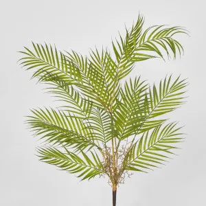 Fern Root Spray by Florabelle Living, a Plants for sale on Style Sourcebook