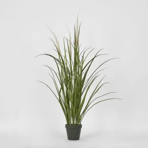 Potted Grass Bush 95cm by Florabelle Living, a Plants for sale on Style Sourcebook
