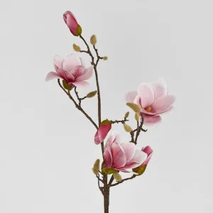 Magnolia With Full Blooms Pink 110cm by Florabelle Living, a Plants for sale on Style Sourcebook