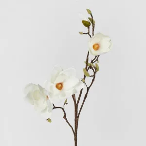 Magnolia With Full Blooms White 105cm by Florabelle Living, a Plants for sale on Style Sourcebook