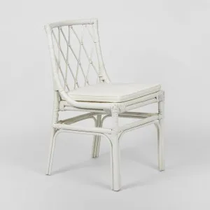 Brighton Dining Chair with cushion by Florabelle Living, a Chairs for sale on Style Sourcebook