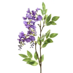 Wisteria Spray x2 Lavender 100cm by Florabelle Living, a Plants for sale on Style Sourcebook