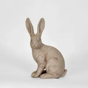 Henry Hare Sitting Small Brown by Florabelle Living, a Statues & Ornaments for sale on Style Sourcebook