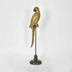 Amabela Parrot Medium Gold by Florabelle Living, a Statues & Ornaments for sale on Style Sourcebook