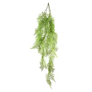 Boston Fern Hanging 1.1m by Florabelle Living, a Plants for sale on Style Sourcebook