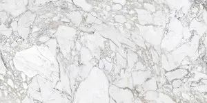 Arabella Corchia (12mm) by Quantum Porcelain, a Solid Surfaces for sale on Style Sourcebook