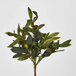 Olive Leaf Branch with Olives by Florabelle Living, a Plants for sale on Style Sourcebook