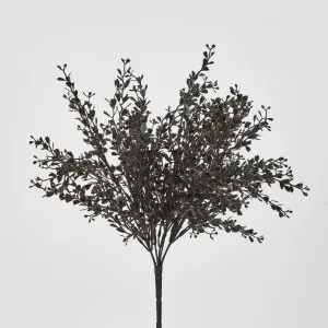 Boxwood Bush Black by Florabelle Living, a Plants for sale on Style Sourcebook