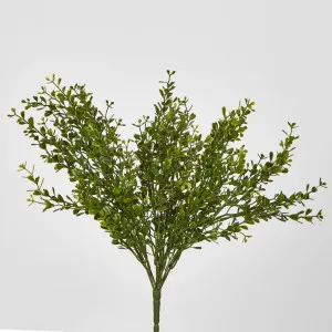 Boxwood Bush Green by Florabelle Living, a Plants for sale on Style Sourcebook