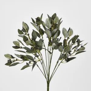 Gum bush with navy berry seeds by Florabelle Living, a Plants for sale on Style Sourcebook