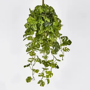 Real Touch Monstera Split Philo Hanging Bush x 13 by Florabelle Living, a Plants for sale on Style Sourcebook