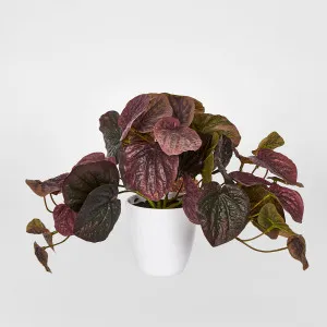 28cm Burgundy Real Touch Hanging Peperomia Leaf Bush in White Pot by Florabelle Living, a Plants for sale on Style Sourcebook