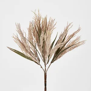 Light Brown Grass Bush by Florabelle Living, a Plants for sale on Style Sourcebook