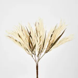 Ivory White Grass Bush by Florabelle Living, a Plants for sale on Style Sourcebook