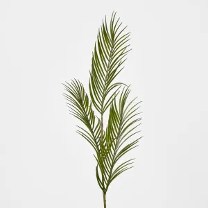 Green Arca Palm leaf spray x 3 by Florabelle Living, a Plants for sale on Style Sourcebook