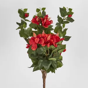 Red Hibiscus Hanging Bush with 10 flowers by Florabelle Living, a Plants for sale on Style Sourcebook