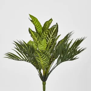 Zebra Palm Leaf Bush by Florabelle Living, a Plants for sale on Style Sourcebook