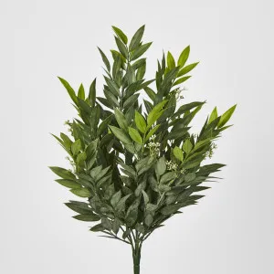 Green Ruscus Bush x9 by Florabelle Living, a Plants for sale on Style Sourcebook