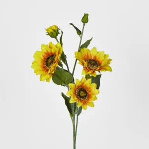 Yellow Sunflower Spray with 3 Flowers & buds by Florabelle Living, a Plants for sale on Style Sourcebook