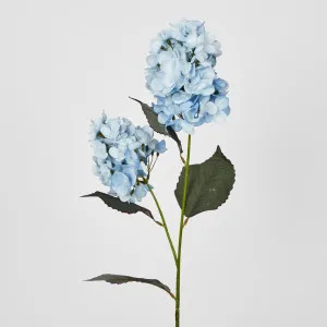 Light Blue Cone Hydrangea 60cm by Florabelle Living, a Plants for sale on Style Sourcebook