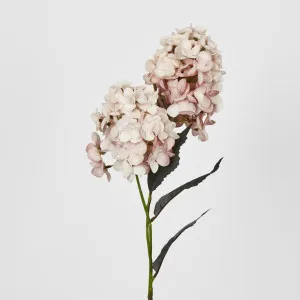 Light Pink Cone Hydrangea 60cm by Florabelle Living, a Plants for sale on Style Sourcebook