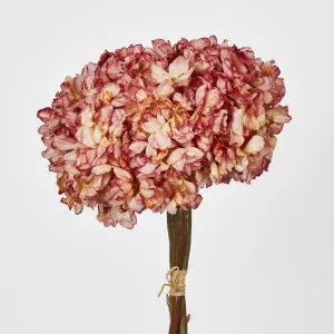 Dried Pink Hydrangea x 3 Bundle by Florabelle Living, a Plants for sale on Style Sourcebook