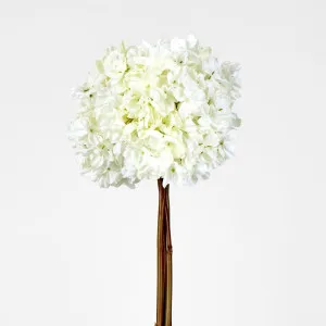 Dried White Hydrangea x 3 Bundle by Florabelle Living, a Plants for sale on Style Sourcebook