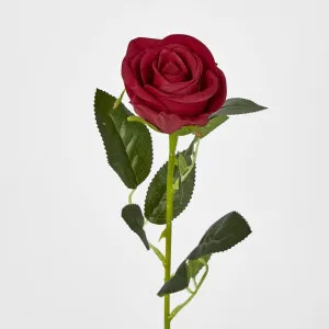 Red Rose Stem by Florabelle Living, a Plants for sale on Style Sourcebook