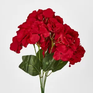 Red Hydrangea Bush x 5 by Florabelle Living, a Plants for sale on Style Sourcebook