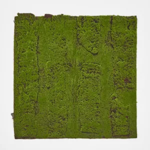 Moss Mat 1m*1m by Florabelle Living, a Plants for sale on Style Sourcebook
