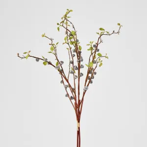 Gumnut Spray with Shoots by Florabelle Living, a Plants for sale on Style Sourcebook