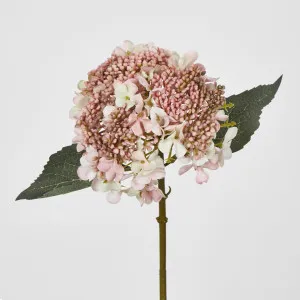 Light Dusty Pink Short Stem Hydrangea by Florabelle Living, a Plants for sale on Style Sourcebook