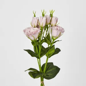Light Pink Lisianthus bundle by 5 Flower and Bud by Florabelle Living, a Plants for sale on Style Sourcebook