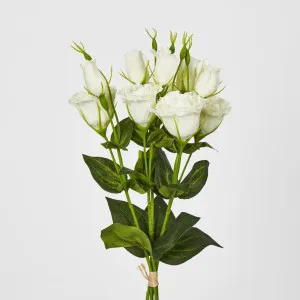 White Lisianthus bundle by 5 Flower and Bud by Florabelle Living, a Plants for sale on Style Sourcebook