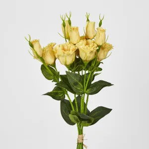 Yellow Lisianthus bundle by 5 Flower and Bud by Florabelle Living, a Plants for sale on Style Sourcebook