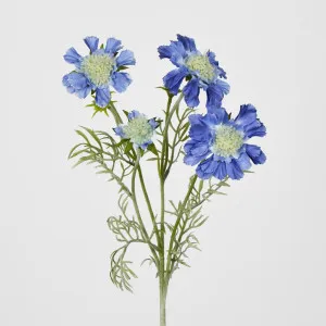 Dark Blue Scabiosa 3 Flowers and 2 Buds by Florabelle Living, a Plants for sale on Style Sourcebook