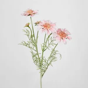 Light Pink Scabiosa 3 Flowers and 2 Buds by Florabelle Living, a Plants for sale on Style Sourcebook