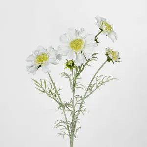 White Scabiosa 3 Flowers and 2 Buds by Florabelle Living, a Plants for sale on Style Sourcebook