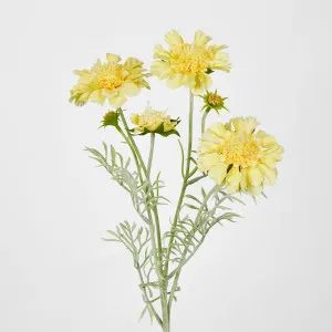Yellow Scabiosa 3 Flowers and 2 Buds by Florabelle Living, a Plants for sale on Style Sourcebook