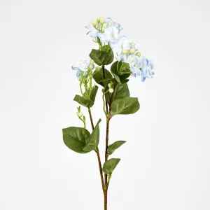 Blue Jasmine Spray by Florabelle Living, a Plants for sale on Style Sourcebook