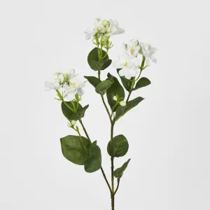 White Jasmine Spray 60cm by Florabelle Living, a Plants for sale on Style Sourcebook