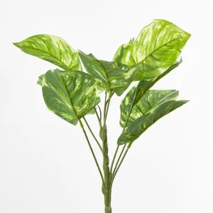 Golden Pothos Leaf Bush by Florabelle Living, a Plants for sale on Style Sourcebook