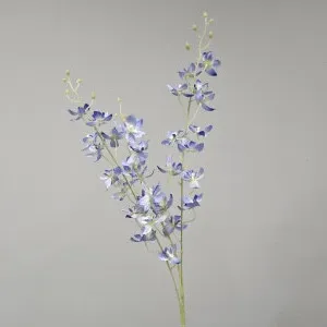 Blue Dendrobium Spray by Florabelle Living, a Plants for sale on Style Sourcebook