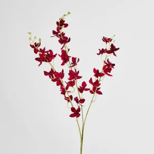 Red Dendrobium Spray by Florabelle Living, a Plants for sale on Style Sourcebook