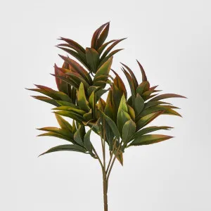Green Pink Pine Leaf Spray by Florabelle Living, a Plants for sale on Style Sourcebook