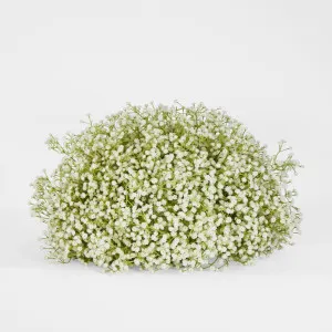 White Gyp Baby Breath Floral Ball by Florabelle Living, a Plants for sale on Style Sourcebook