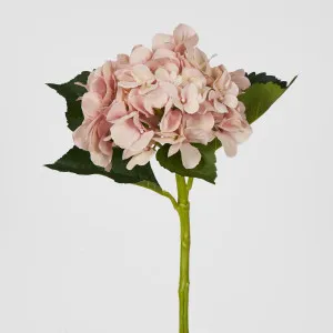 Hydrangea Water Stem 49cm Soft Pink by Florabelle Living, a Plants for sale on Style Sourcebook